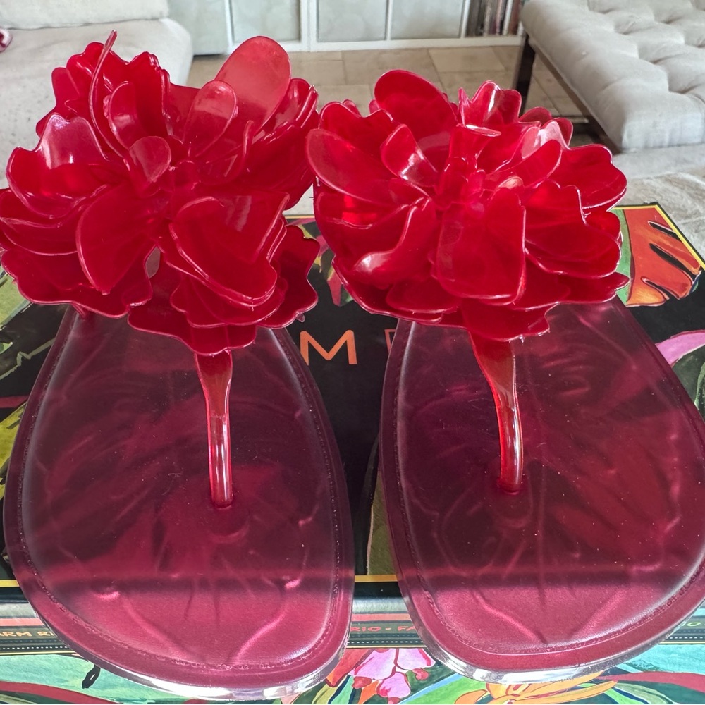 Farm Rio Flower Jelly Sandals Red (NWT - Never worn) FREE SHIPPING